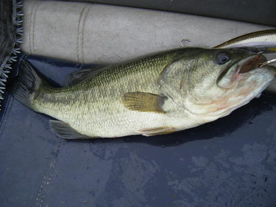 DSCF2296.JPG