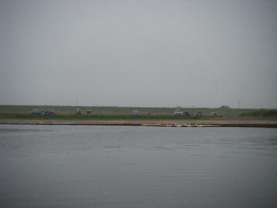DSCF2294.JPG