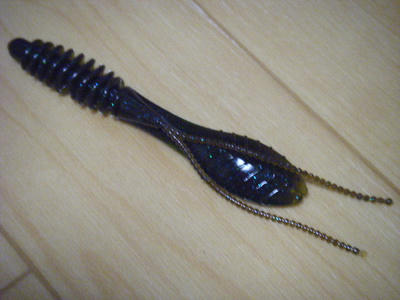DSCF2313.JPG