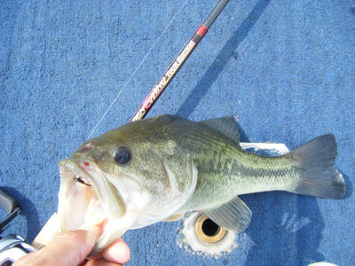 DSCF2321.JPG