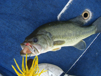 DSCF2319.JPG