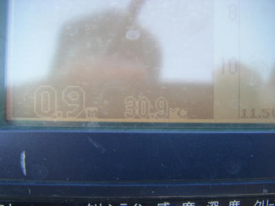 DSCF2342.JPG