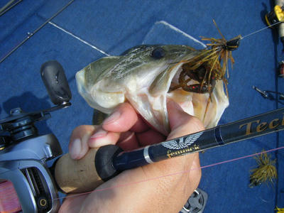 DSCF2335.JPG
