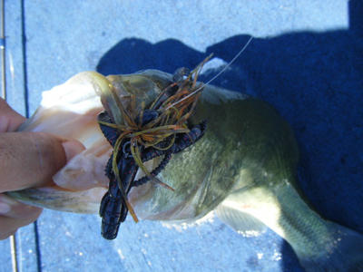 DSCF2349.JPG