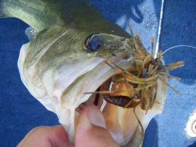 DSCF2336.JPG