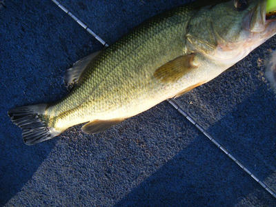 DSCF2344.JPG