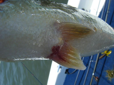 DSCF2339.JPG