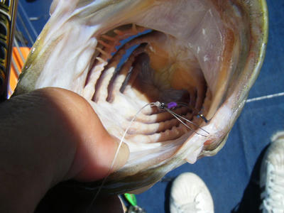 DSCF2361.JPG