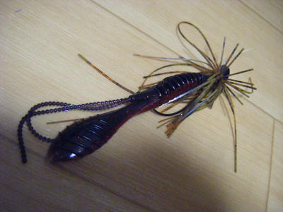 DSCF2369.JPG