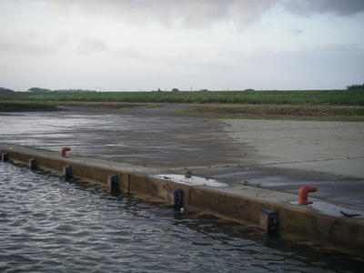 DSCF2373.JPG