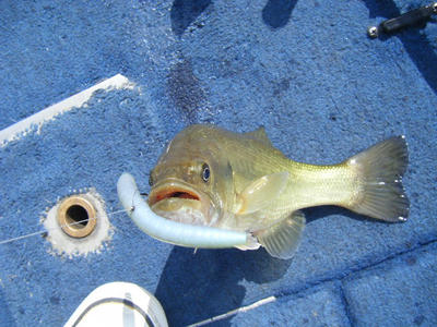 DSCF2375.JPG