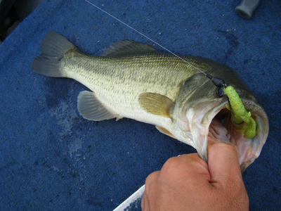 DSCF2380.JPG