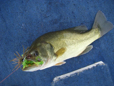 DSCF2381.JPG
