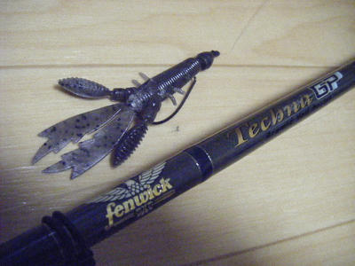 DSCF2407.JPG