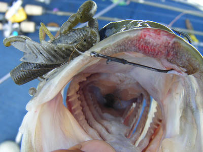 DSCF2439.JPG