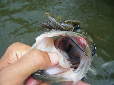 DSCF2440.JPG