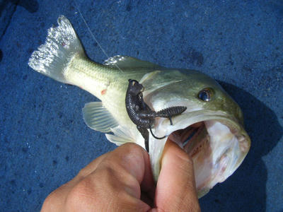DSCF2443.JPG