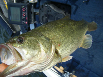 DSCF2445.JPG