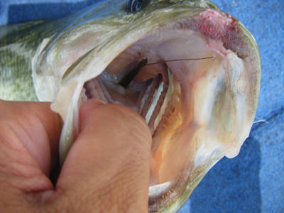 DSCF2441.JPG