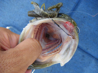 DSCF2438.JPG