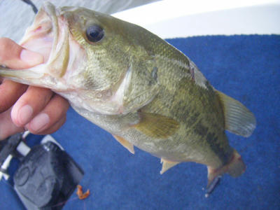 DSCF2454.JPG