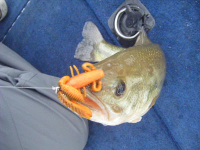DSCF2453.JPG