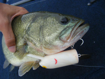 DSCF2463.JPG