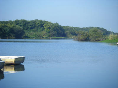 DSCF2477.JPG