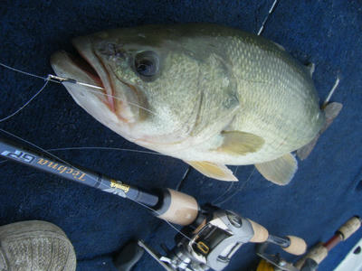 DSCF2504.JPG