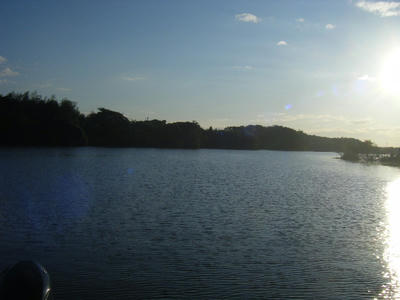 DSCF2528.JPG