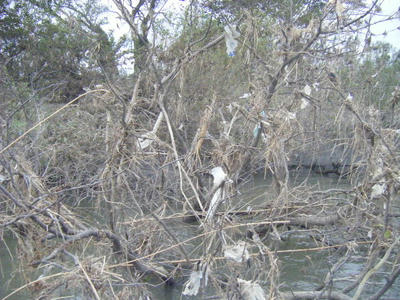 DSCF2540.JPG