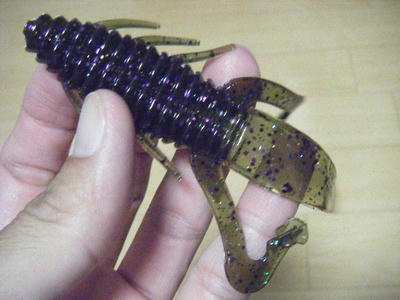 DSCF2546.JPG