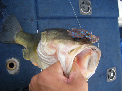 DSCF2556.JPG
