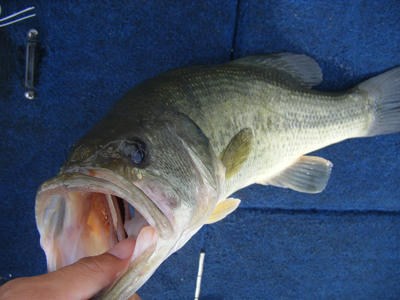 DSCF2611.JPG