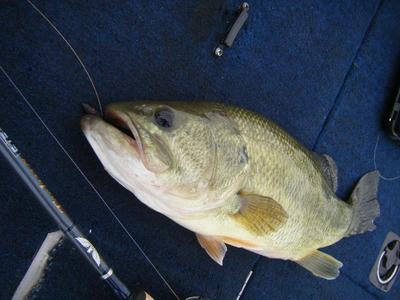 DSCF2610.JPG