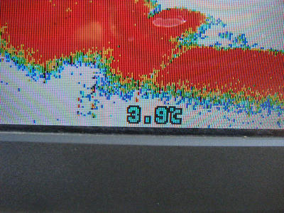 DSCF2710.JPG