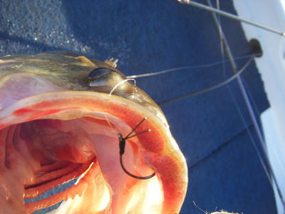 DSCF2721.JPG
