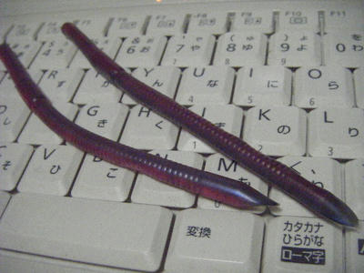 DSCF2734.JPG
