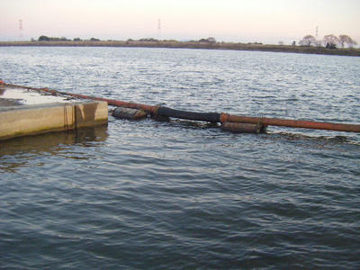 DSCF2751.JPG