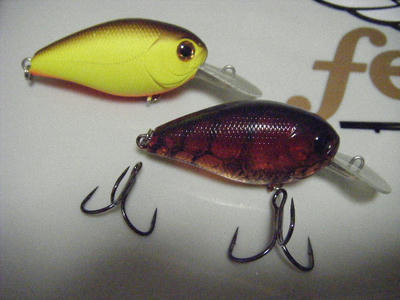 DSCF2793.JPG