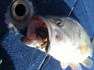 DSCF2795.JPG