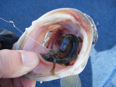 DSCF2797.JPG