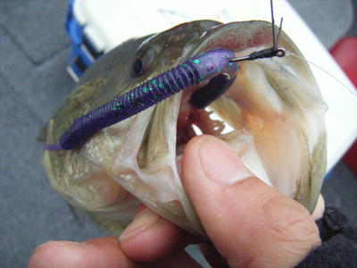 DSCF2804.JPG