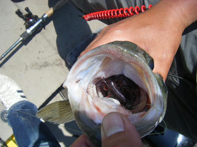 DSCF2840.JPG