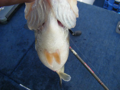 DSCF2847.JPG