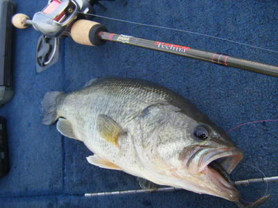 DSCF2846.JPG