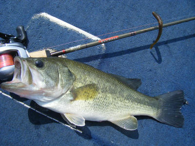 DSCF2890.JPG