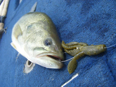 DSCF2926.JPG
