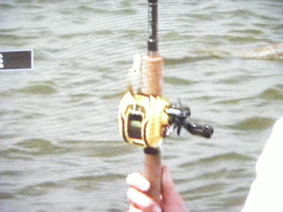 DSCF2938.JPG