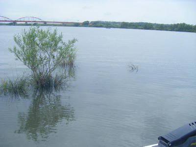 DSCF2946.JPG
